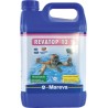 MAREVA REVATOP 12% Tanica 5 Litri - Ossigeno Attivo per Trattamento Shock, Recupero Acqua Verde, Preventivo contro le alghe