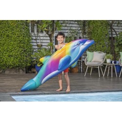 Bestway - Cavalcabile da piscina Dolphin Rainbow Daydream 168m x 66cm 41541