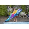 Bestway - Cavalcabile da piscina Dolphin Rainbow Daydream 168m x 66cm 41541