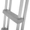 Bestway 58332 Scaletta di sicurezza per piscina Flowclear™ da 1.32 m